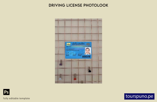 listo para imprimir plantilla FRONTAL de aspecto fotográfico del permiso de c 10